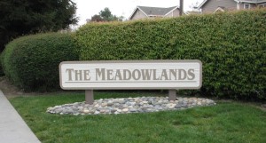 Monument Sign - HDU Sandblasted - The Meadowlands
