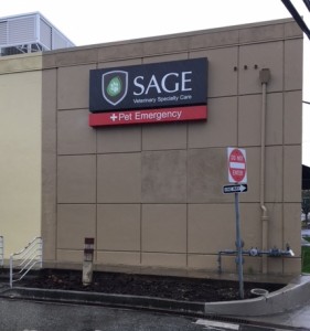 Exterior Illuminated Building Sign - Sage Veterinary
