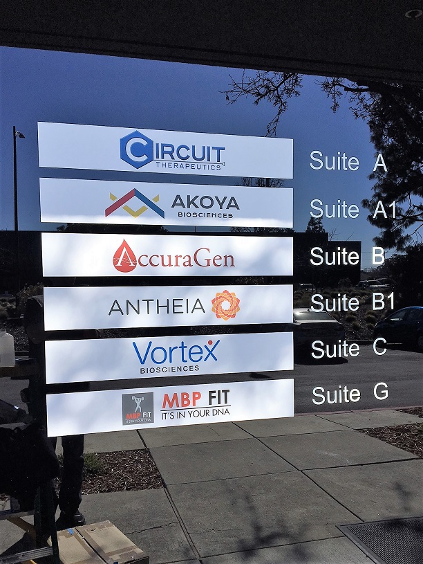 Glass Vinyl Window Signs for Business in San Jose, CA