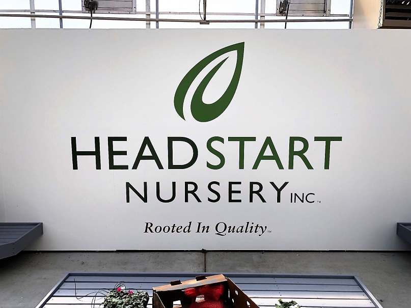 Headstart Nursery Office Wall Decals in San Jose