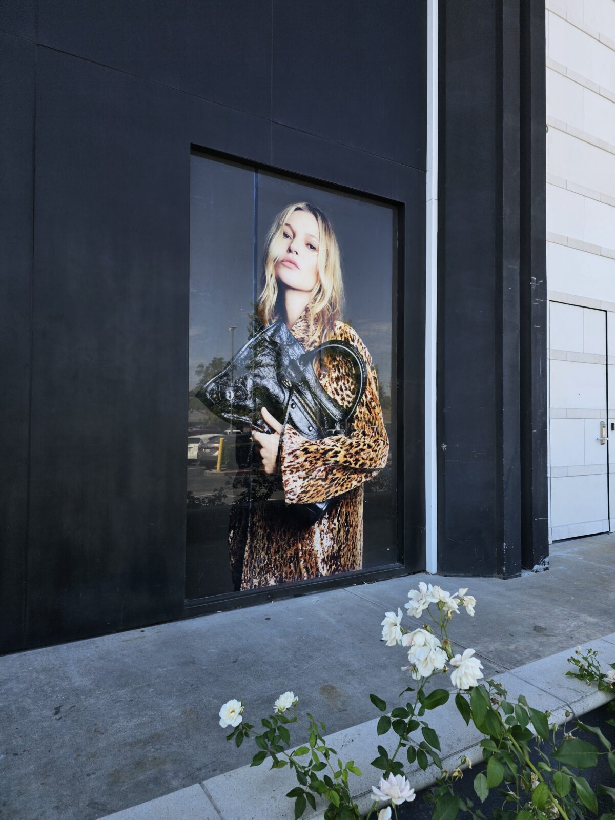 Custom storefront window graphics for Business