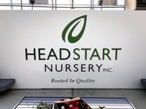 Wall Graphics